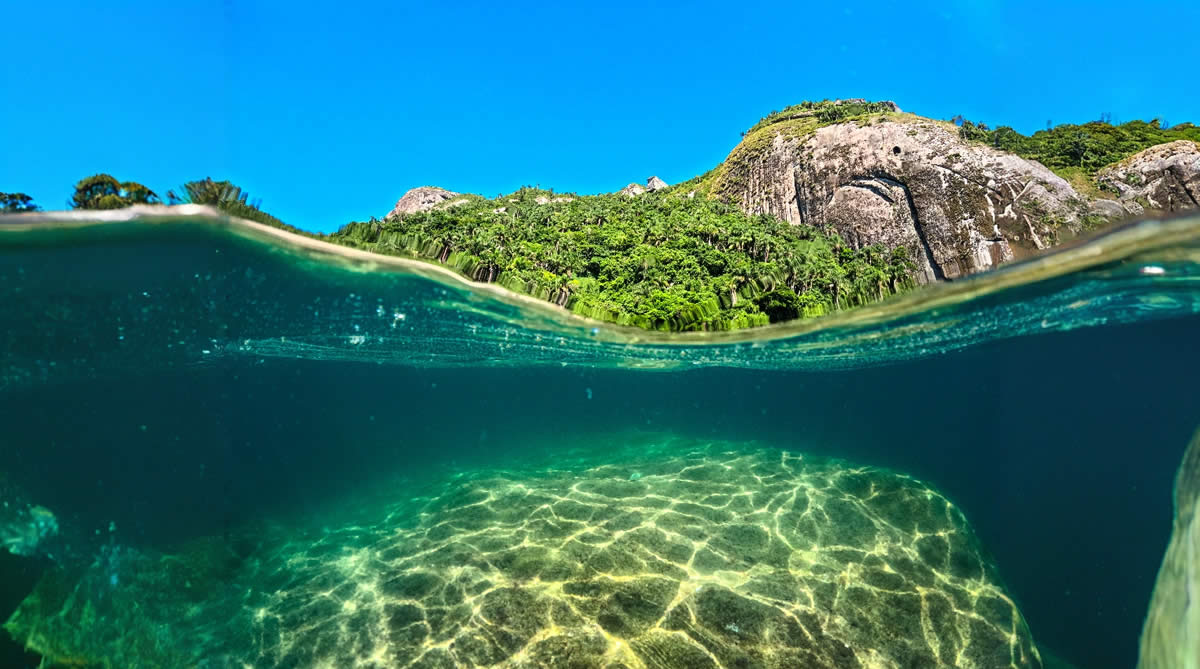 Arquipélago de Alcatrazes - Imagem 3