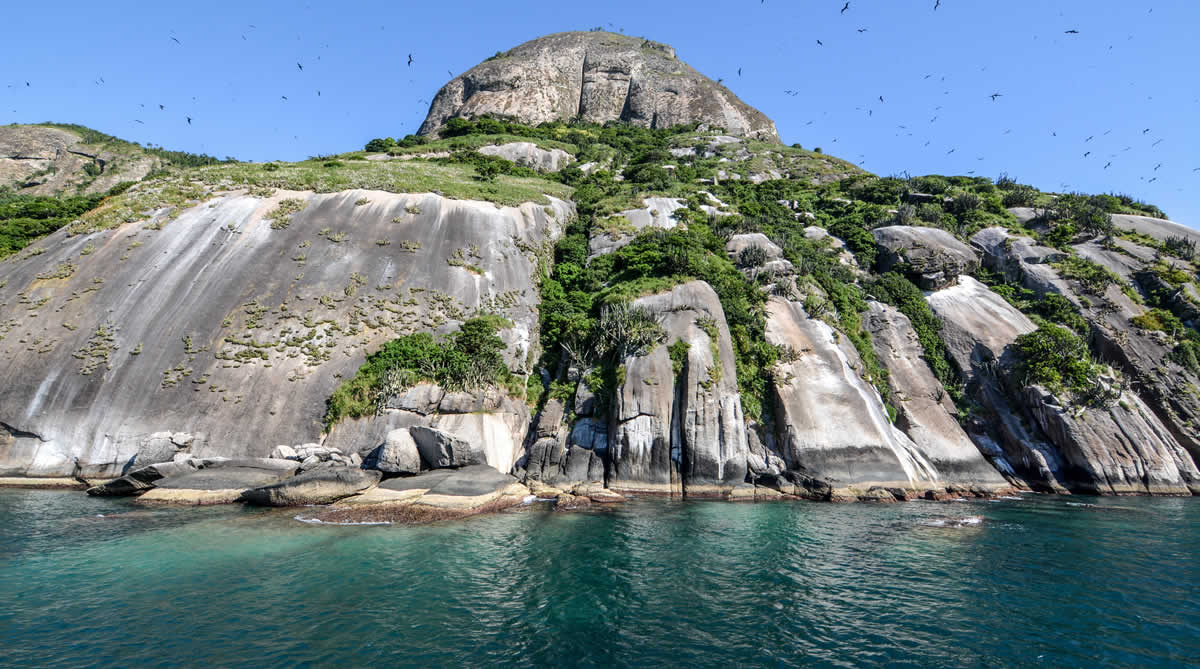 Arquipélago de Alcatrazes - Imagem 4